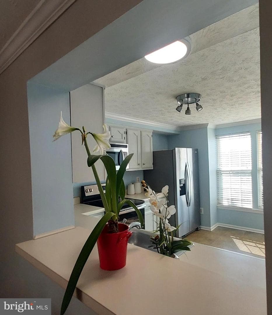 656 Coral Reef Drive photo 4