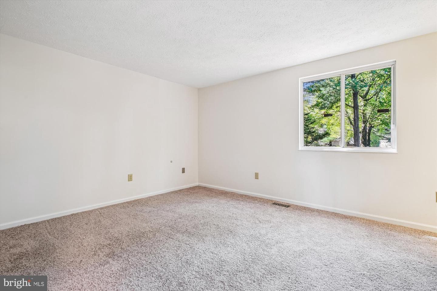 11528 Dragonfire Way photo 39