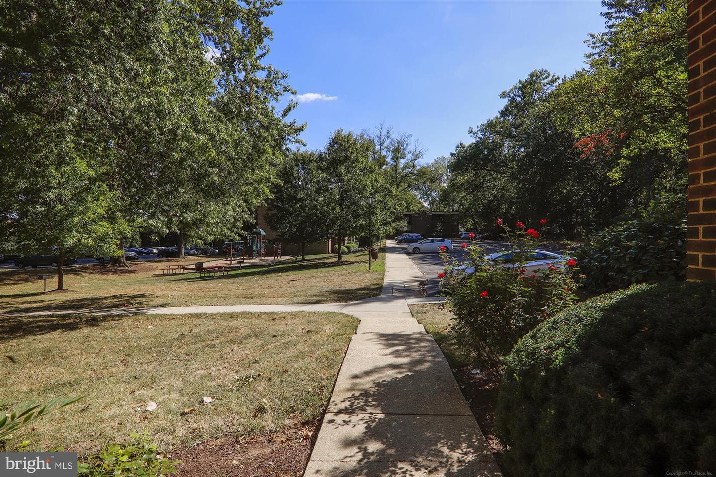 9907 Blundon Drive #5-301 photo 37