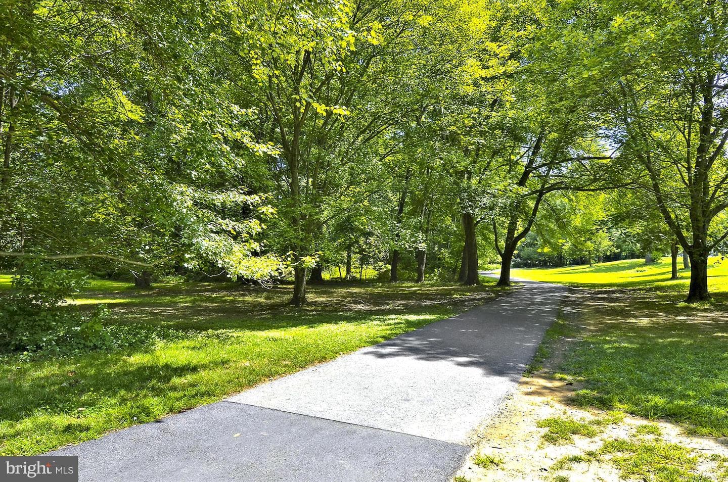 9907 Blundon Drive #5-301 photo 53