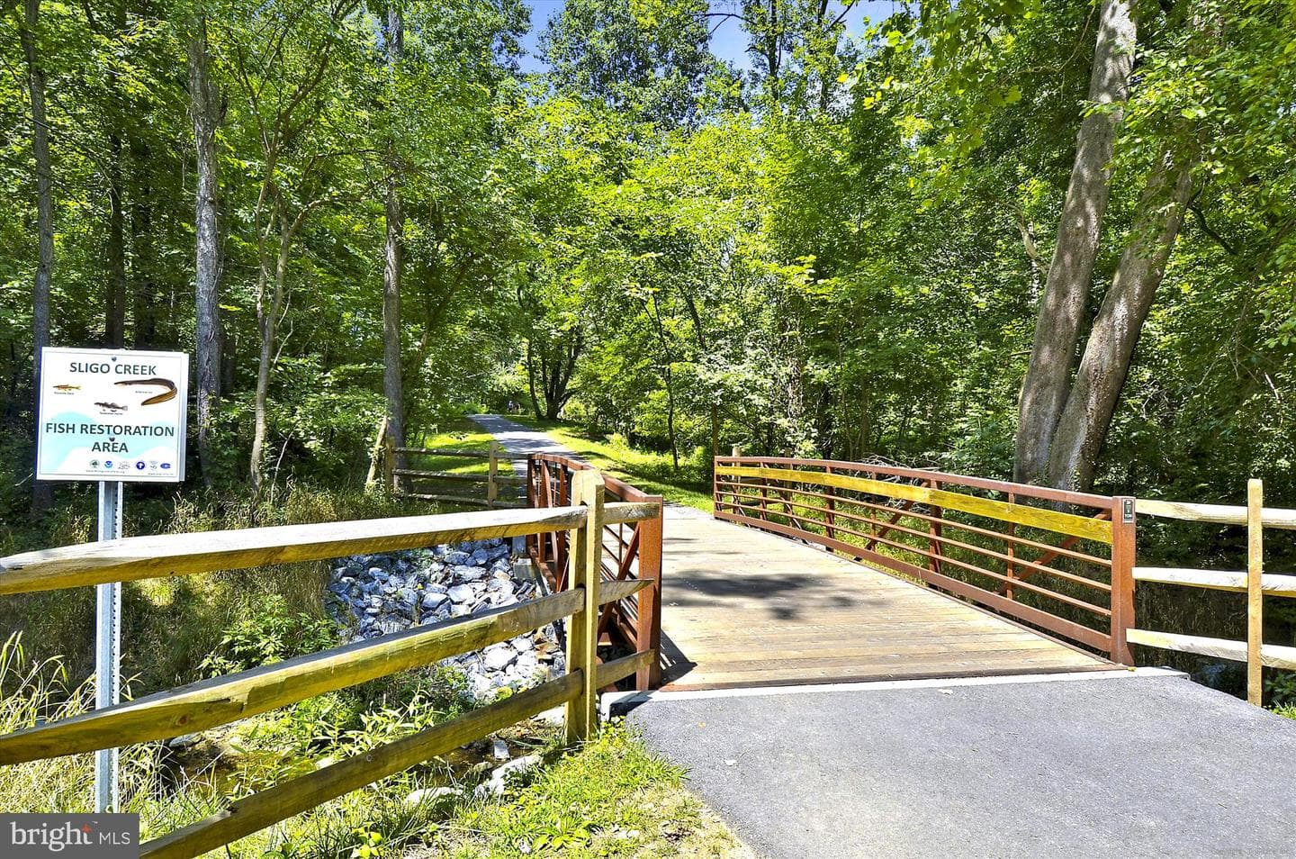 9907 Blundon Drive #5-301 photo 54
