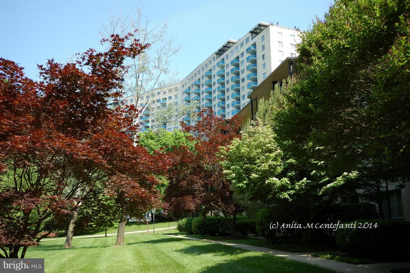 10201 Grosvenor Place #1025 photo 15