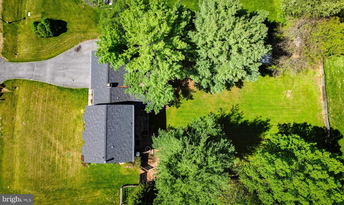 12317 Dancrest Drive photo 46