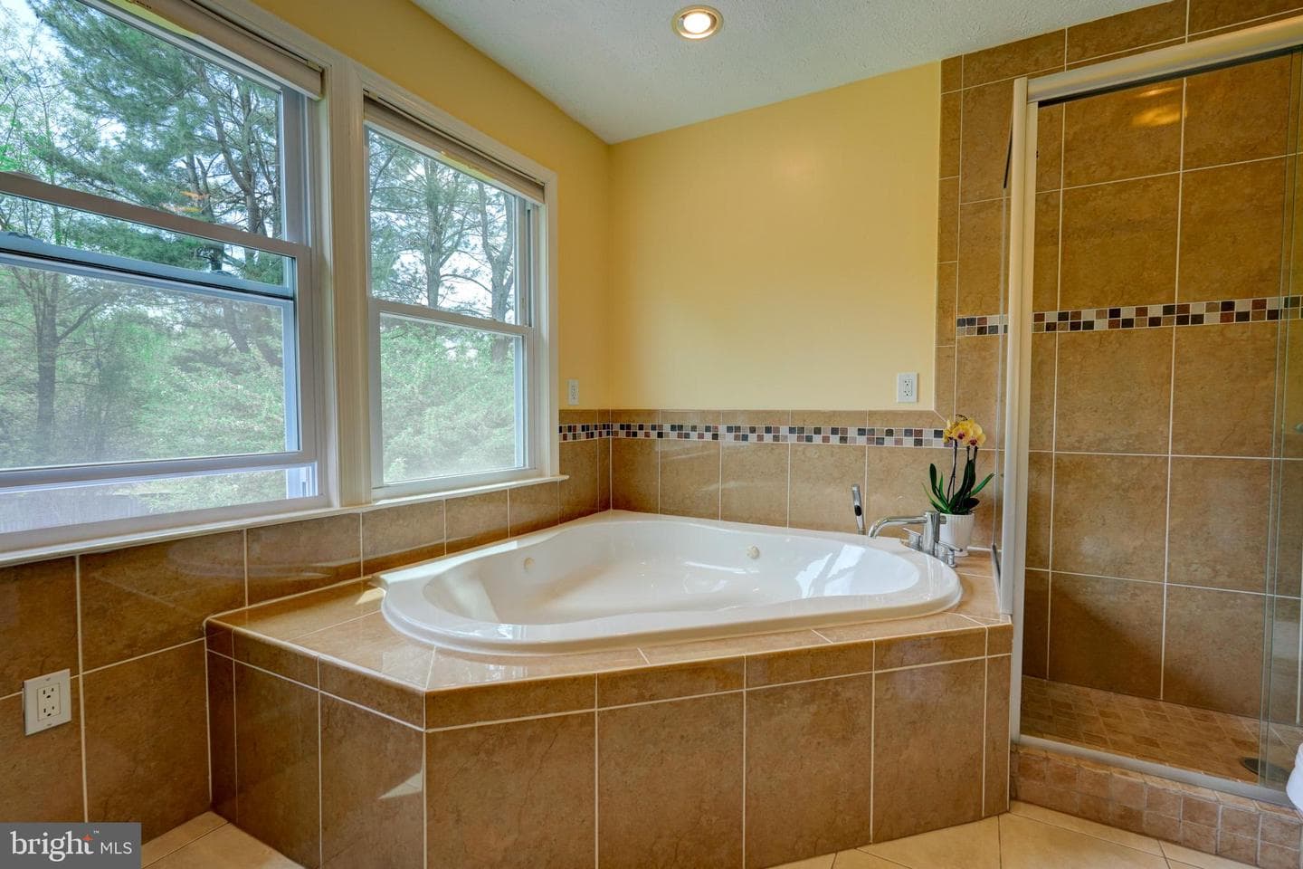 11628 Paramus Drive photo 34