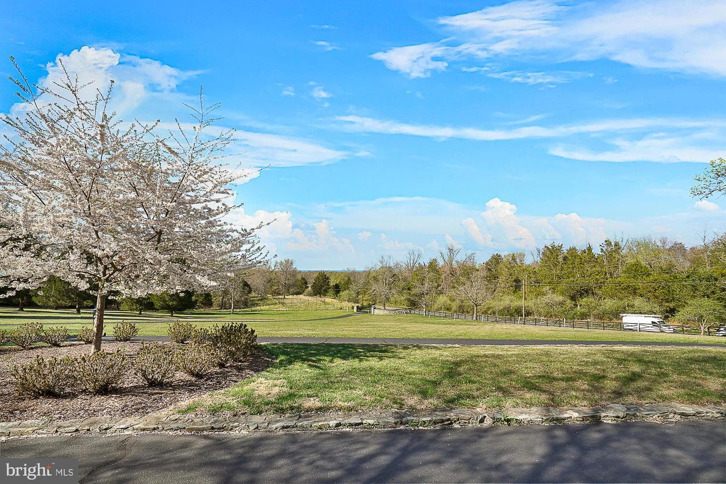 14920 Mount Nebo Road photo 105