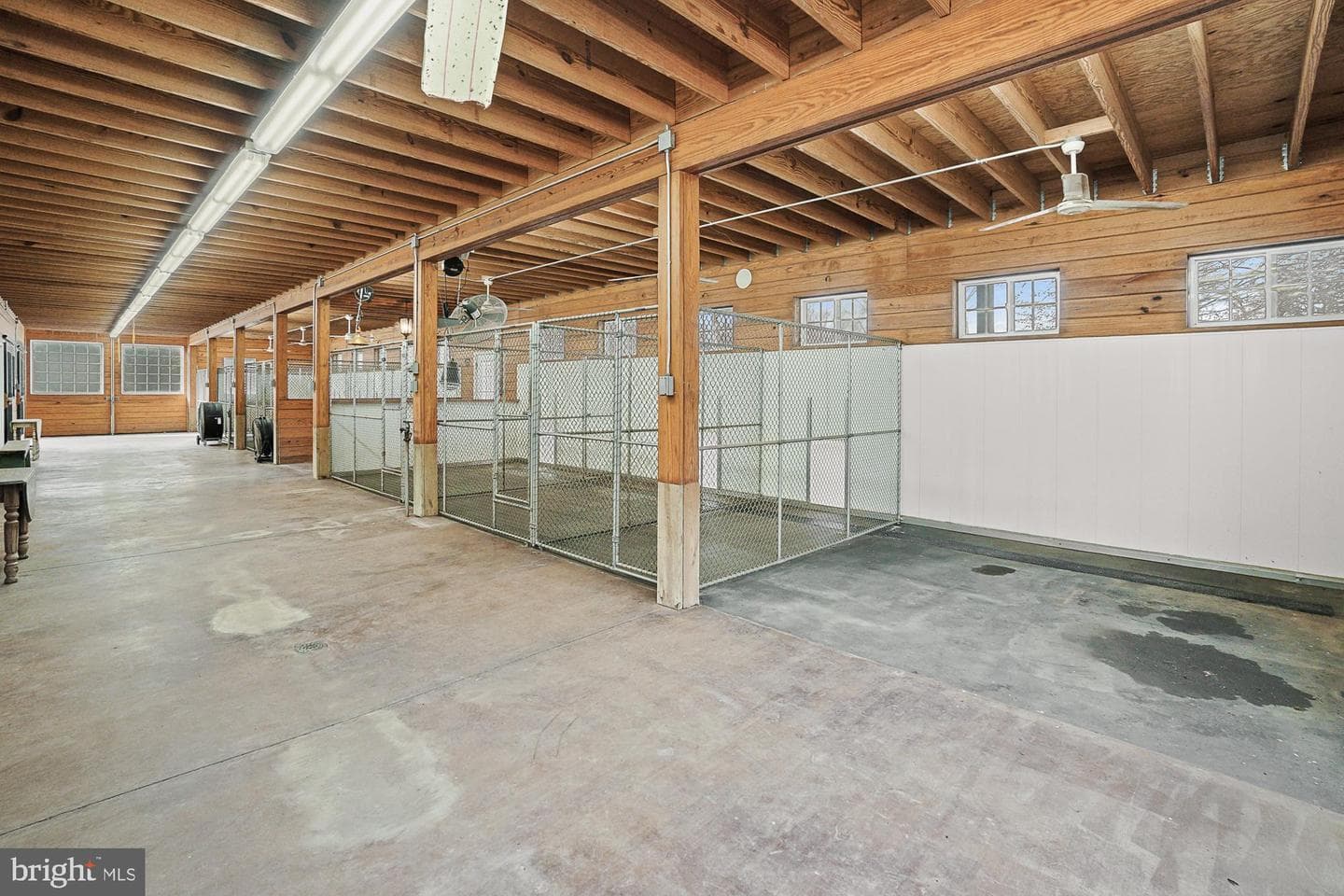 14920 Mount Nebo Road photo 82