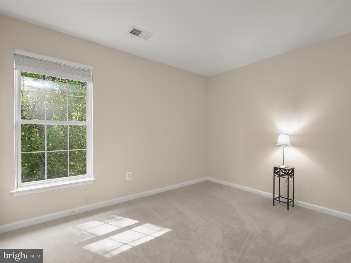4403 Winding Oak Drive photo 52