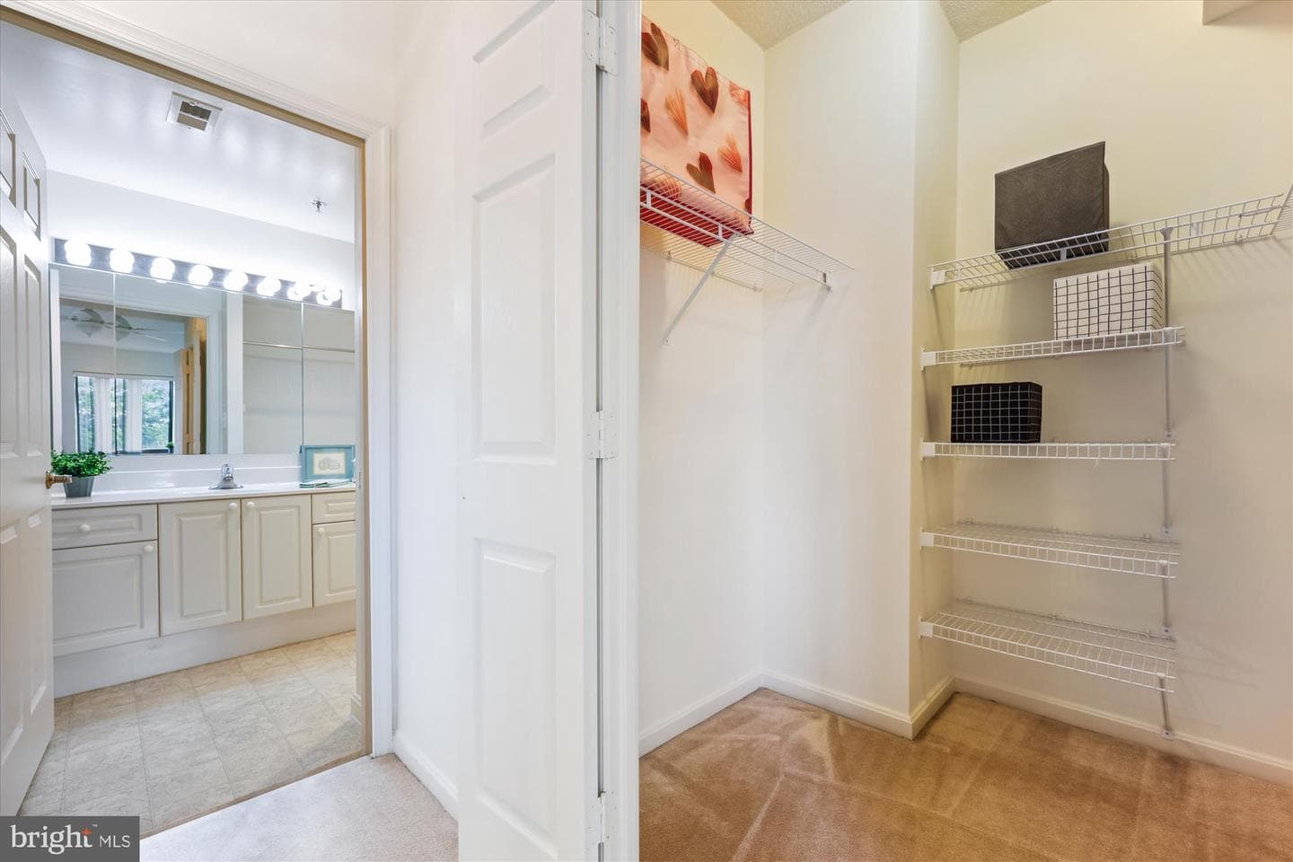 3100 N Leisure World Boulevard #507 photo 13