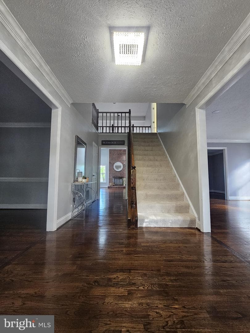 303 Saybrooke View Drive photo 10