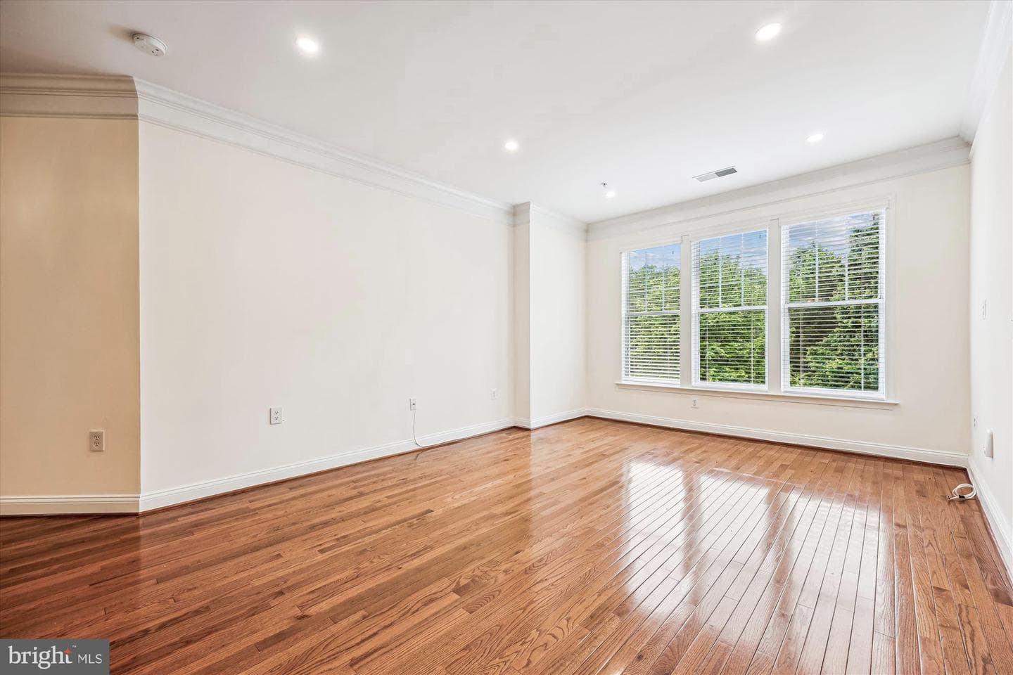 110 Chevy Chase Street #205 photo 3