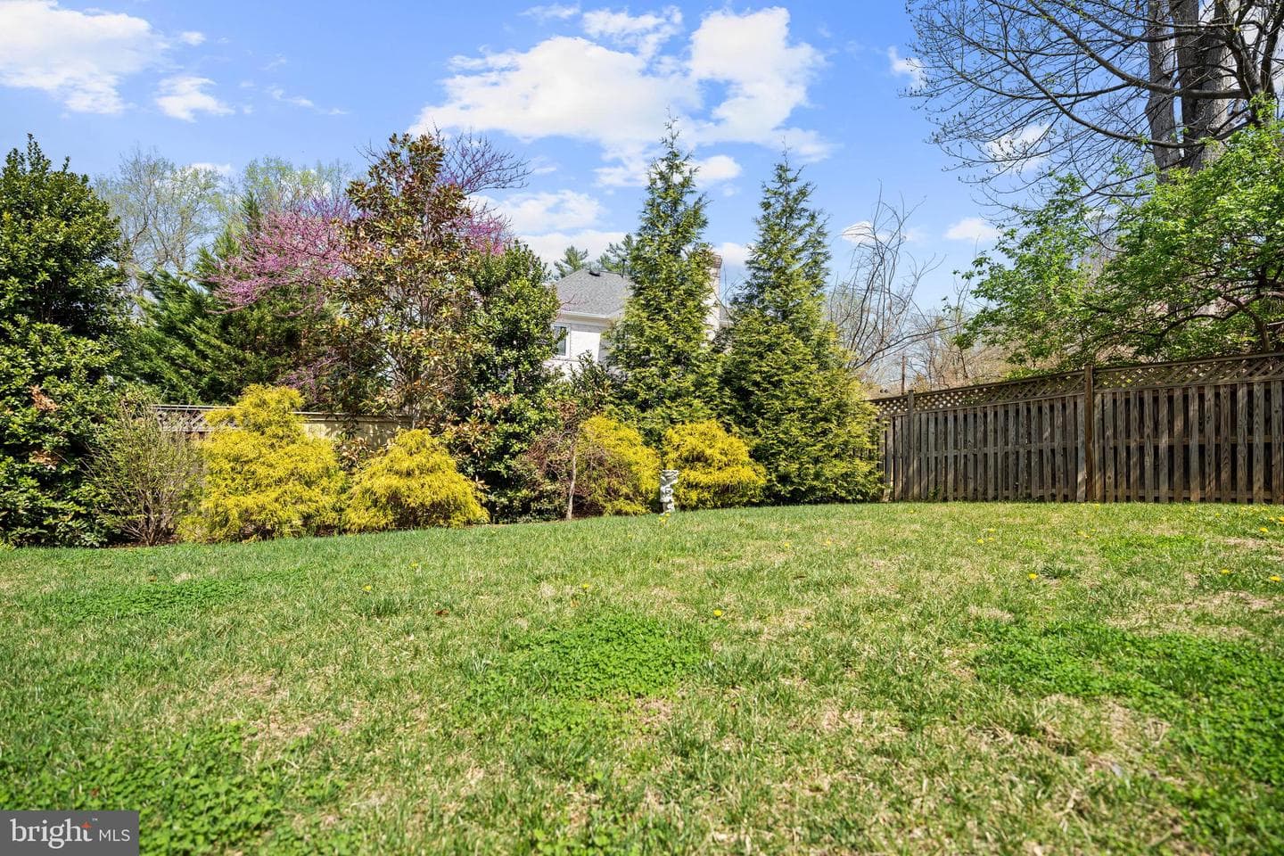 7005 Richard Drive photo 48