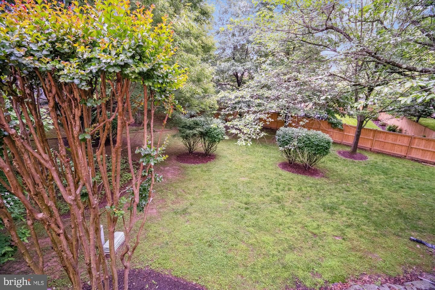 435 Winding Rose Drive photo 24