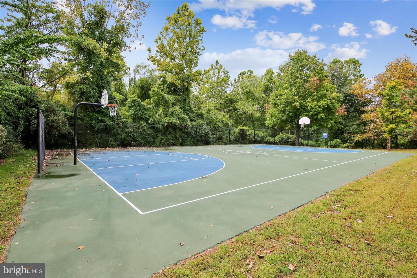 435 Winding Rose Drive photo 58