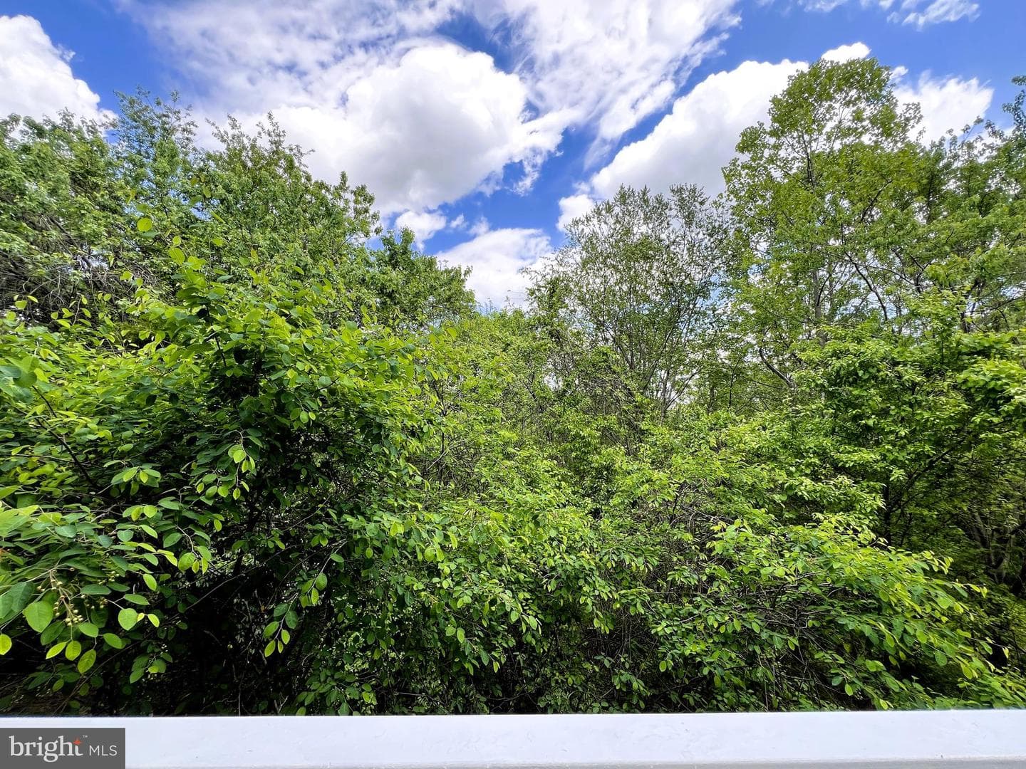 203 Oak Knoll Terrace photo 28