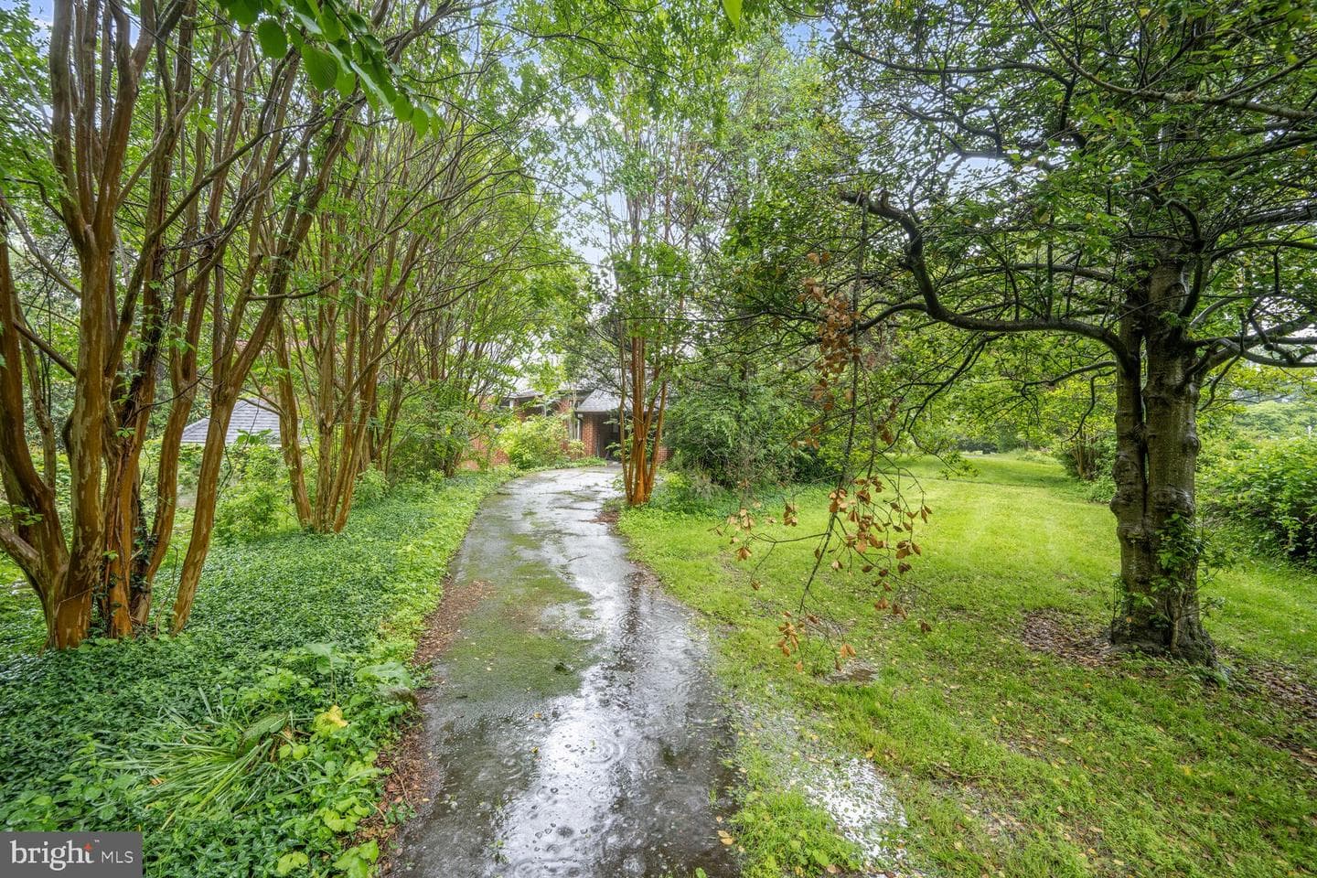 12820 Baker Drive photo 10