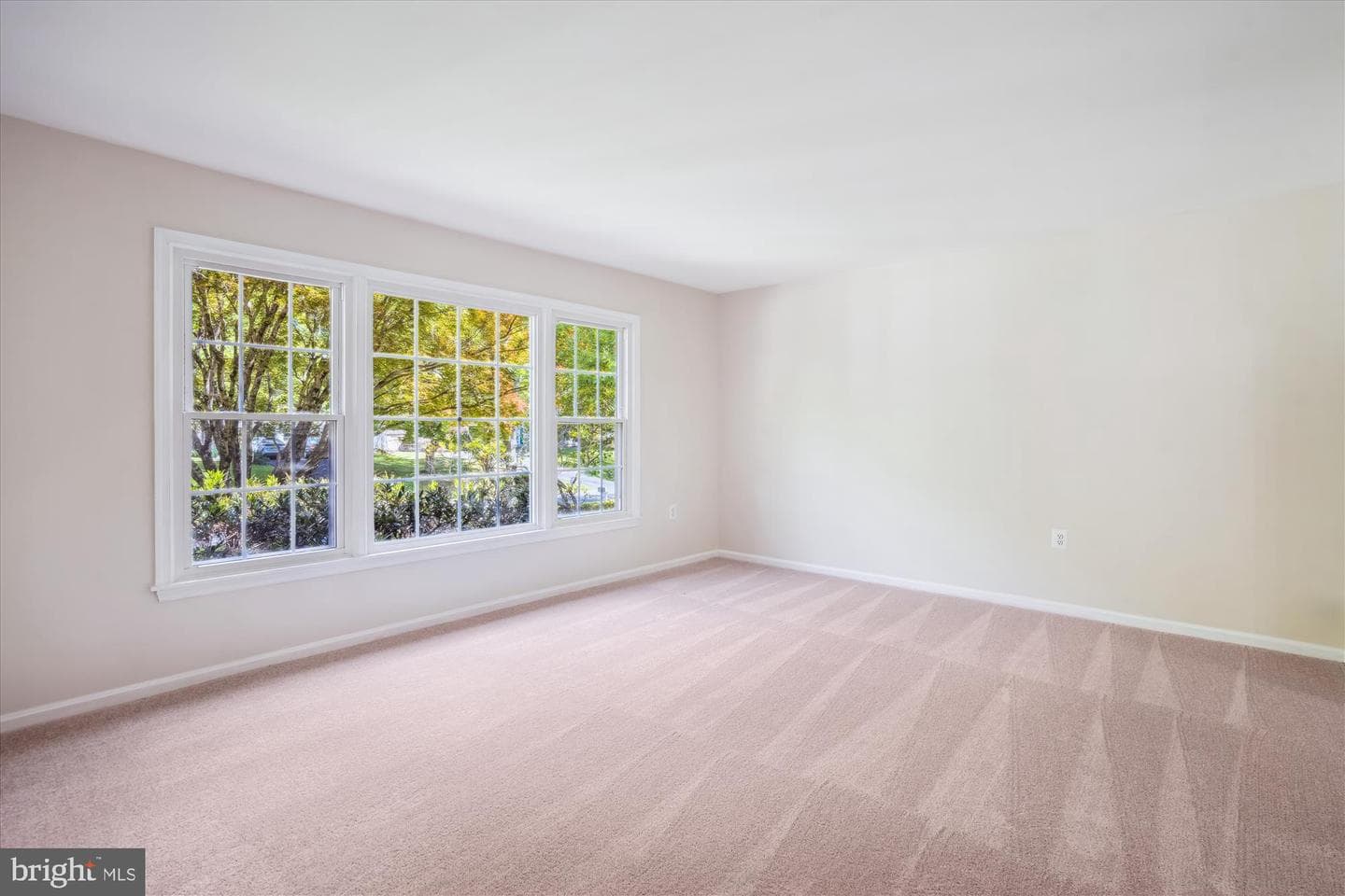 4826 Cherry Valley Drive photo 21