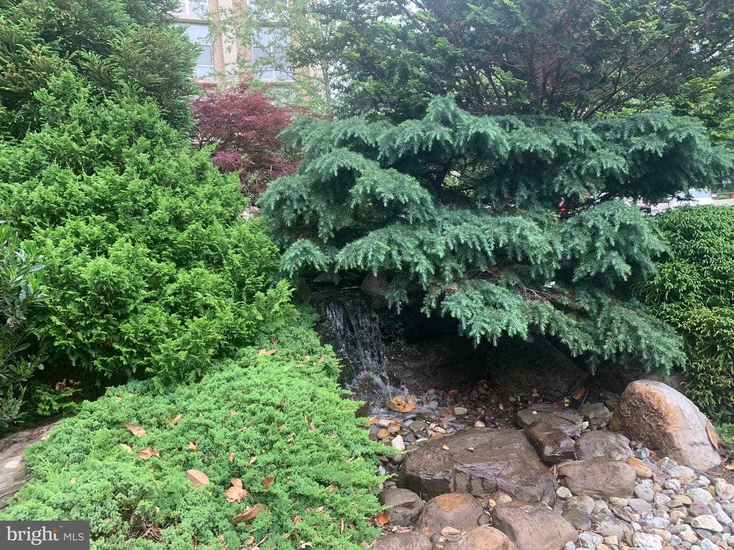 9039 Sligo Creek Parkway #706 photo 22