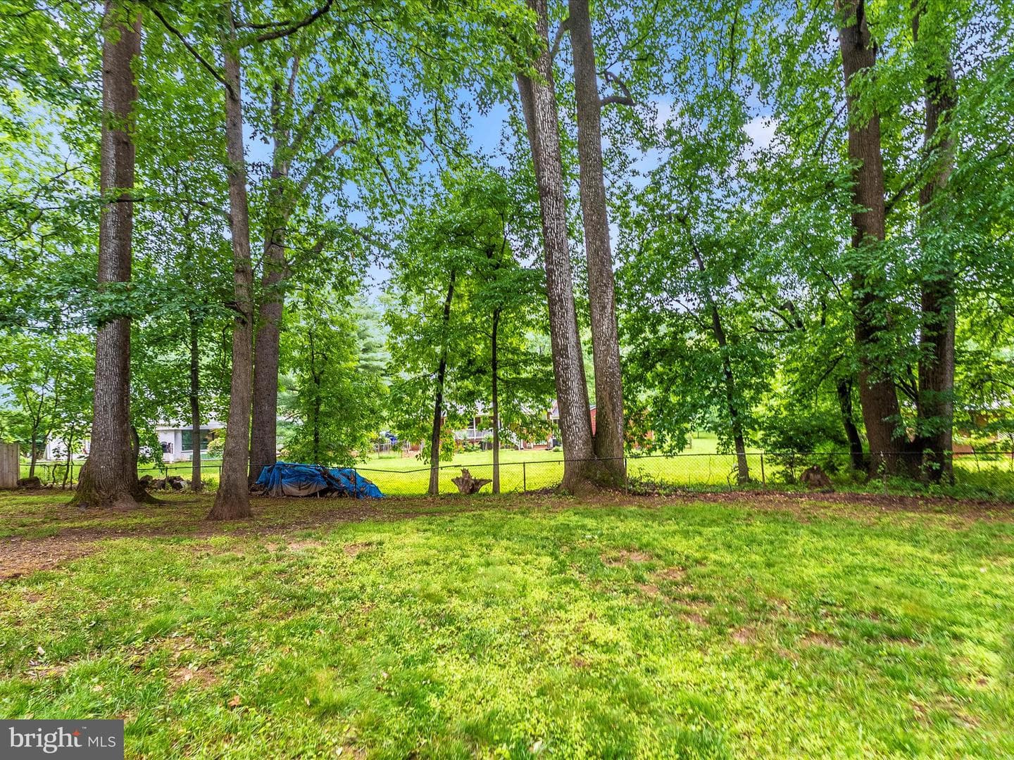2264 Glenmore Terrace photo 46