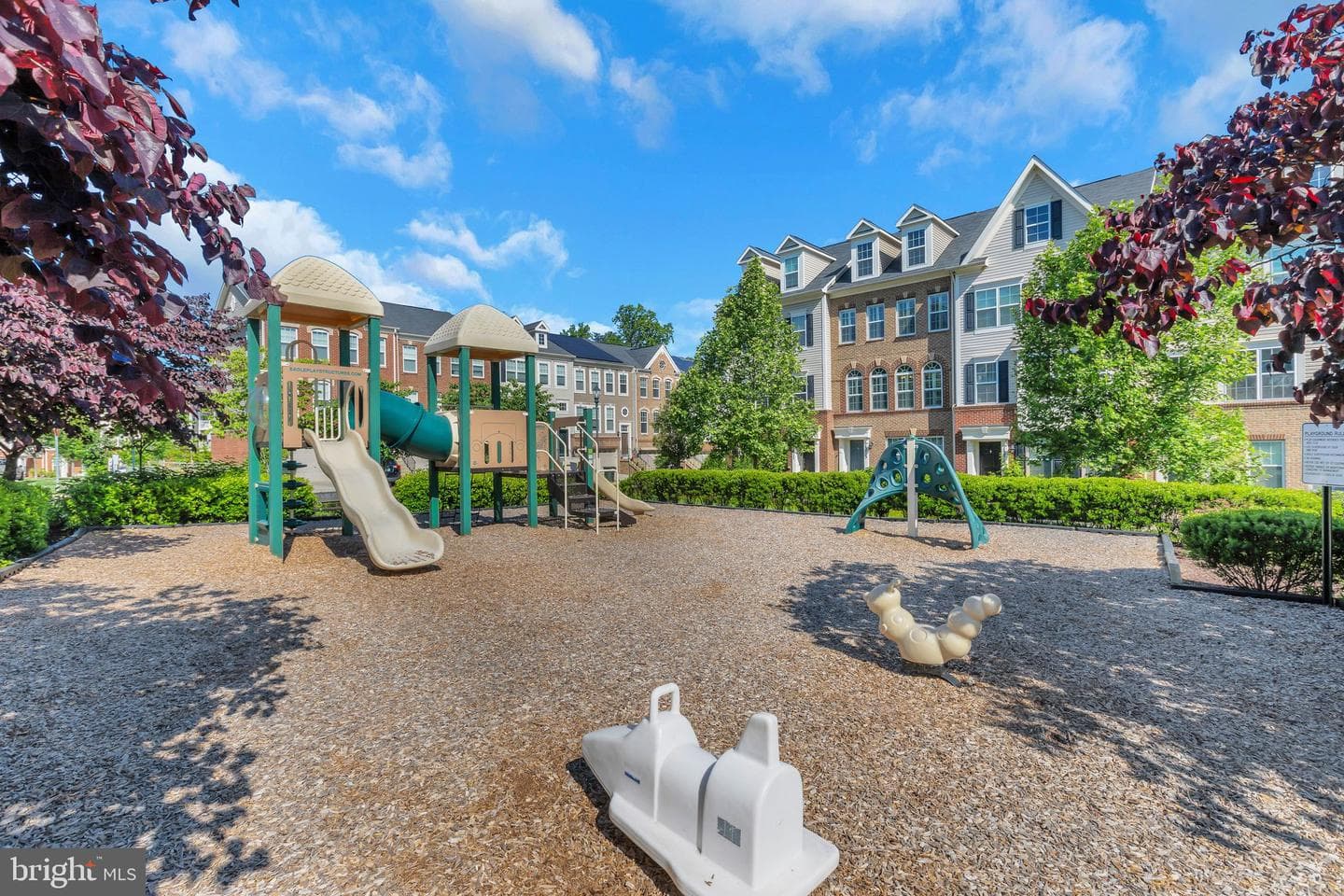15713 Murphys Tin Street photo 56