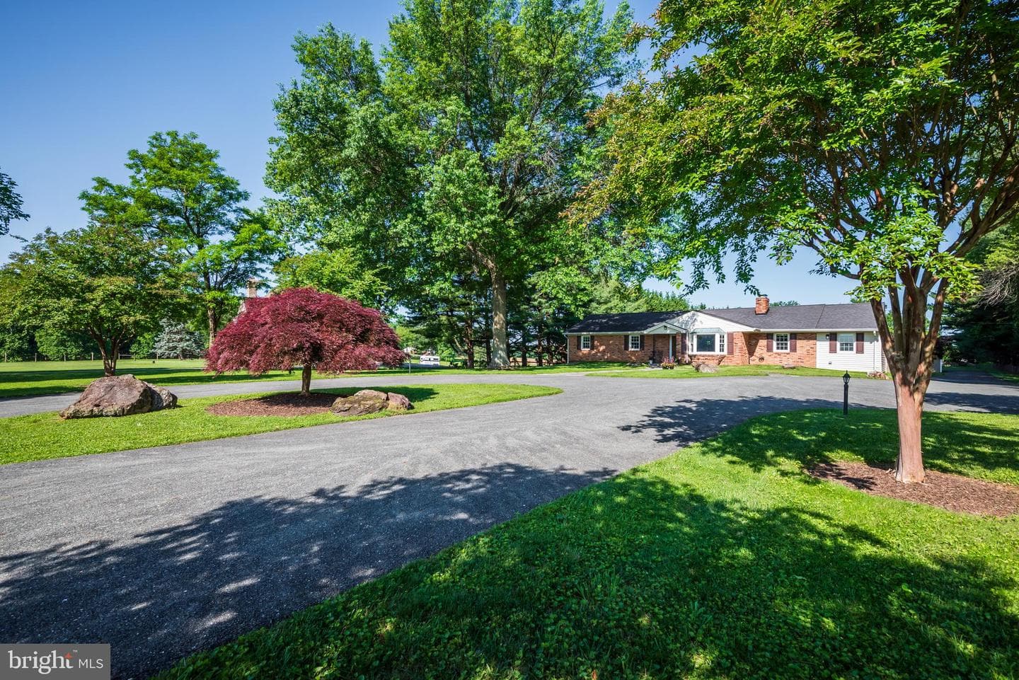 21020 Peach Tree Road photo 57