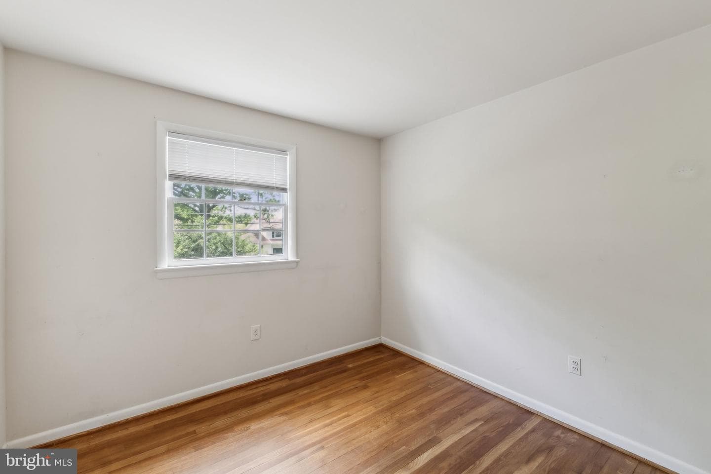 11706 Milbern Drive photo 22
