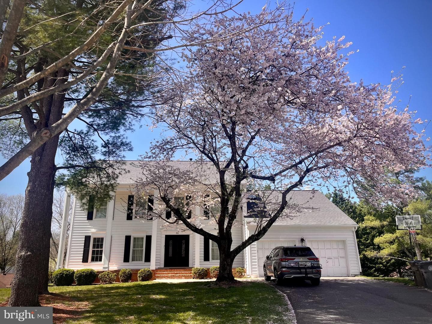 22 Hollyberry Court photo 1