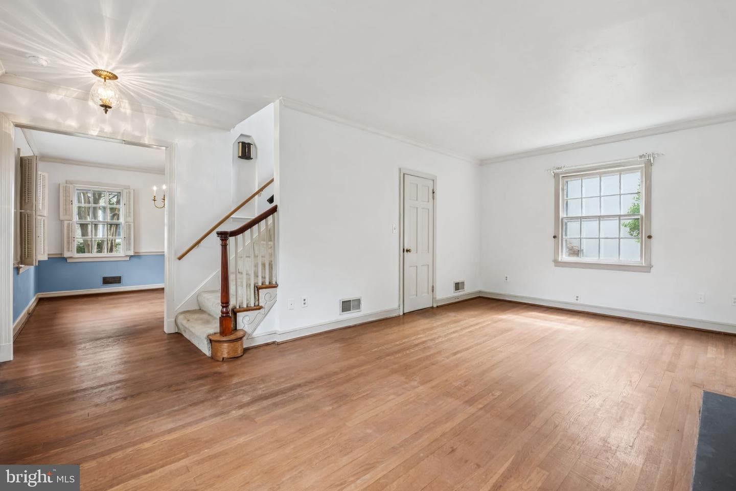 7201 Chestnut Street photo 3