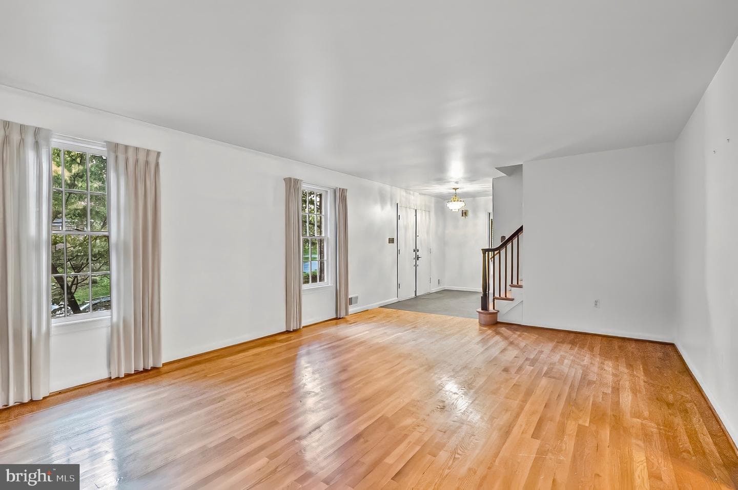 12509 White Drive photo 12