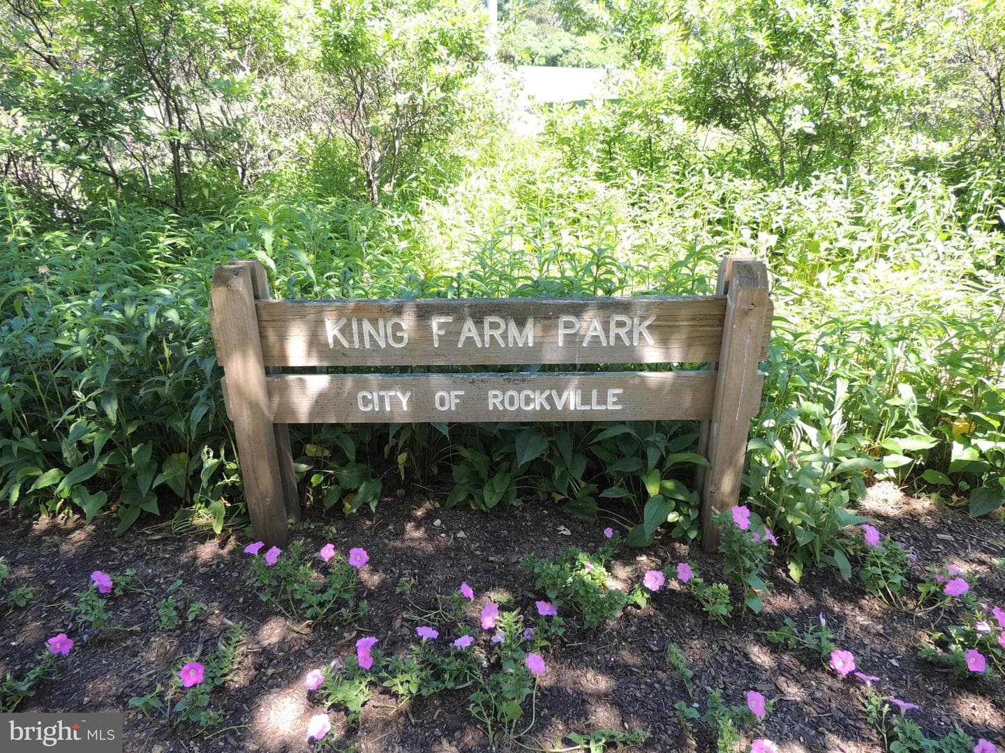 308 Watkins Circle photo 4