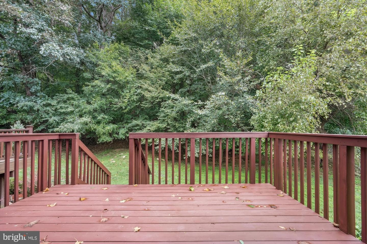 10901 Whiterim Drive photo 44