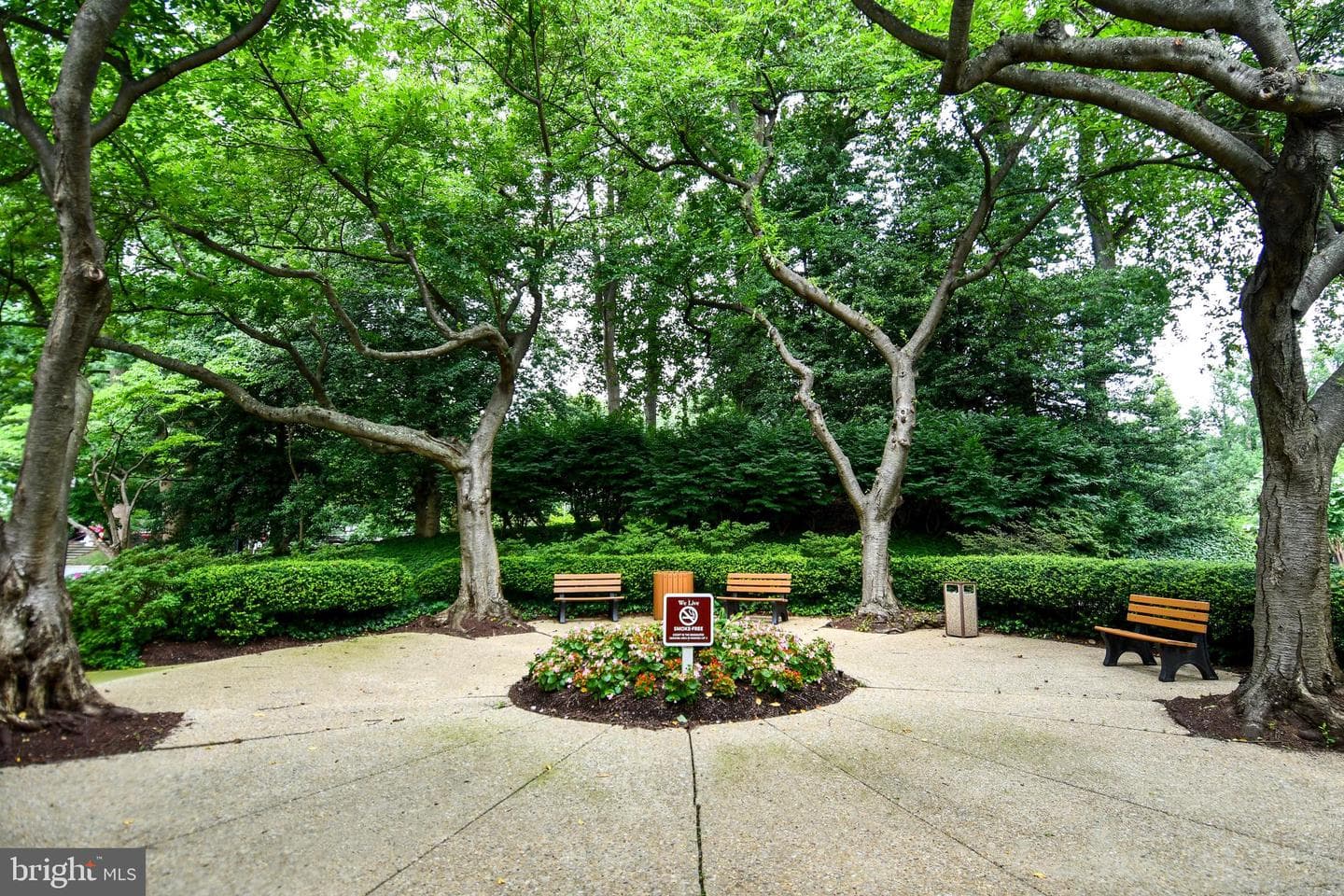 5225 Pooks Hill Road #222n photo 45
