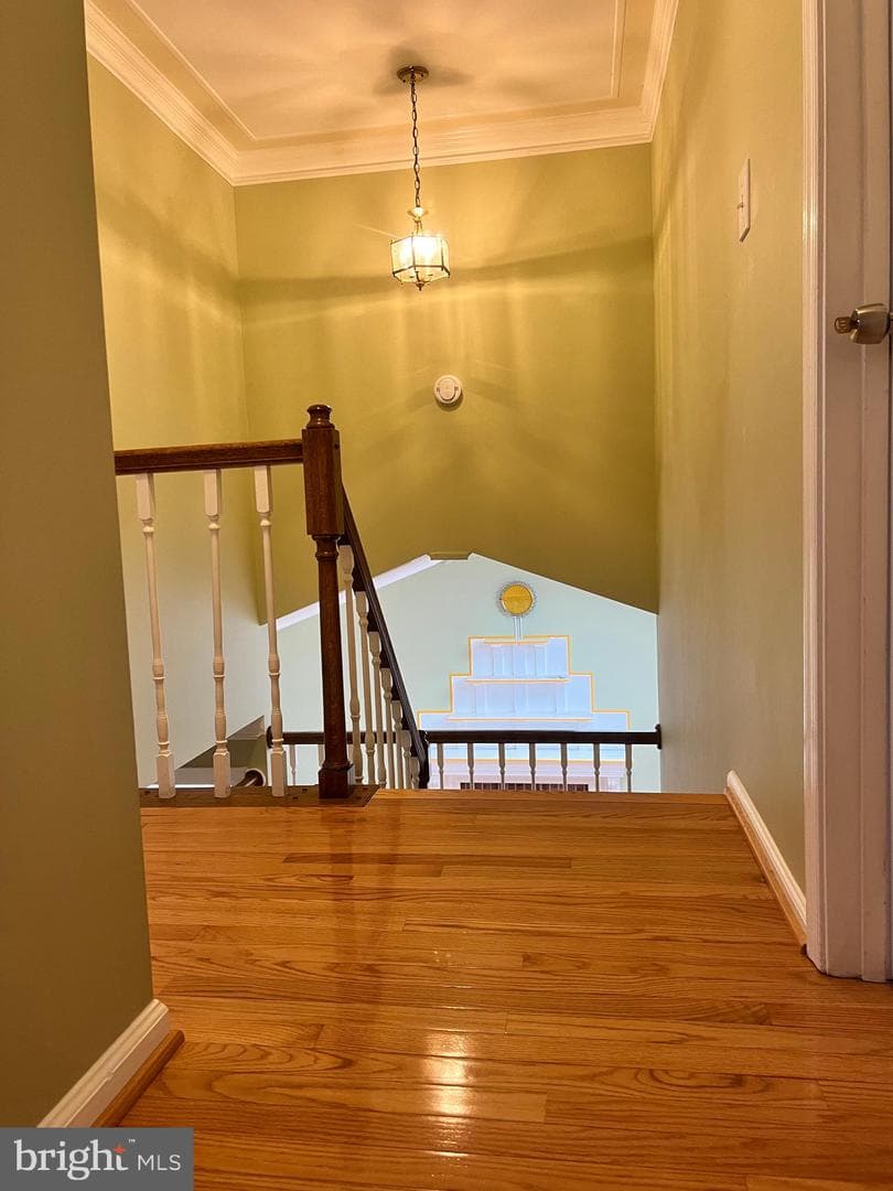 3521 Turbridge Drive photo 31