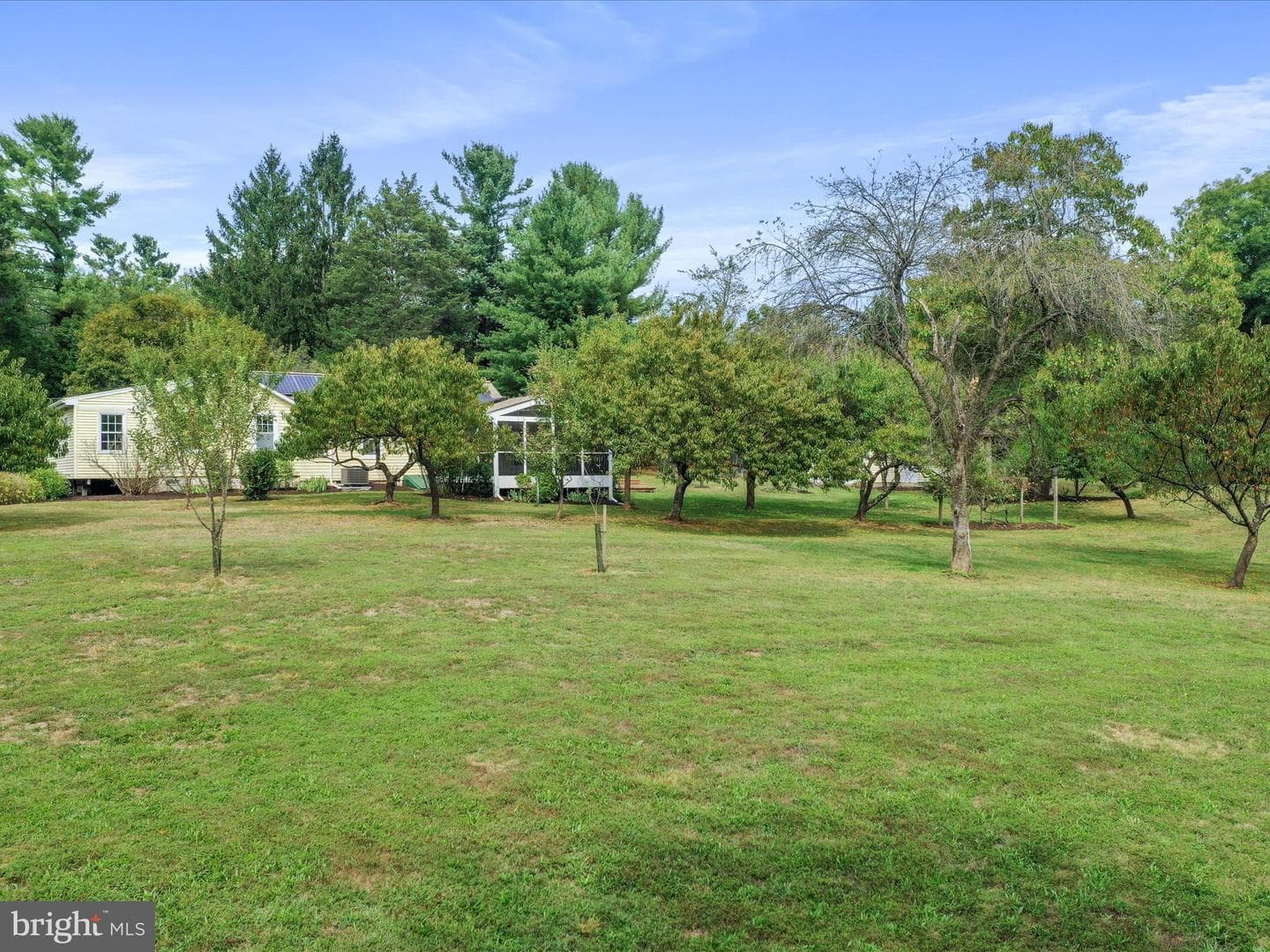 22119 Dickerson School Road photo 49