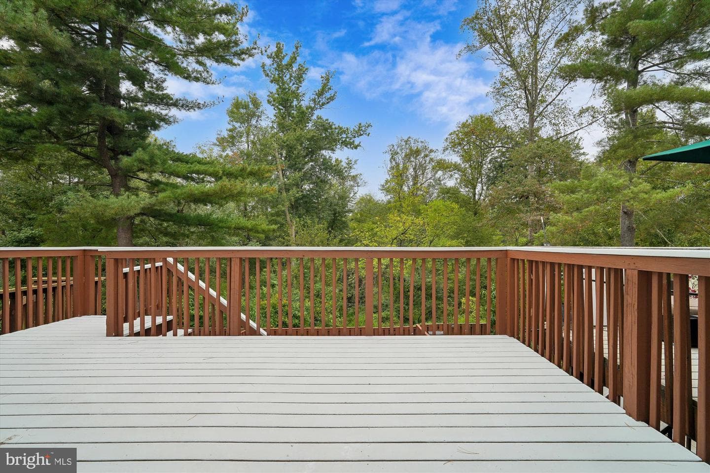 4522 Cannes Lane photo 11