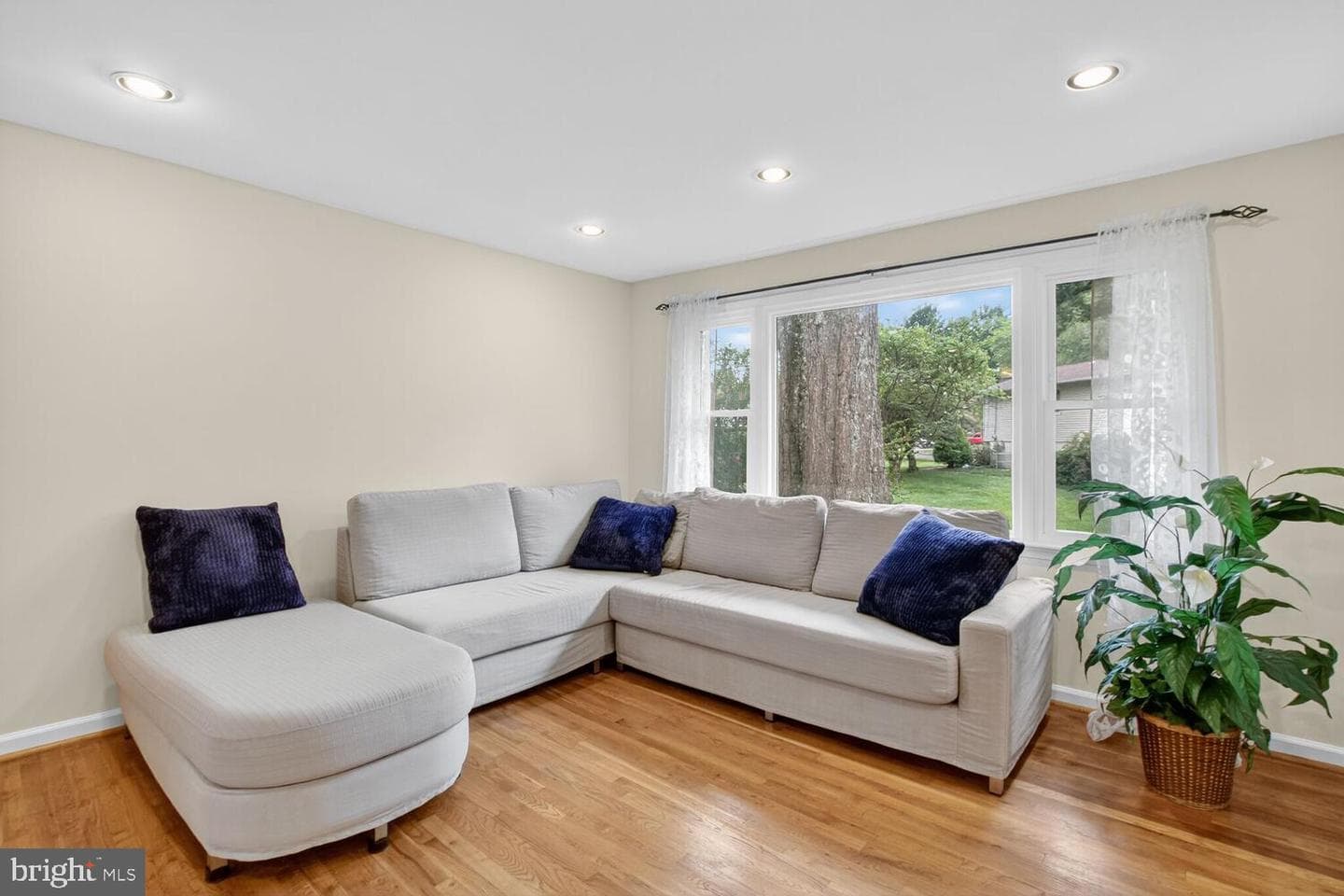 11704 Greenlane Drive photo 9