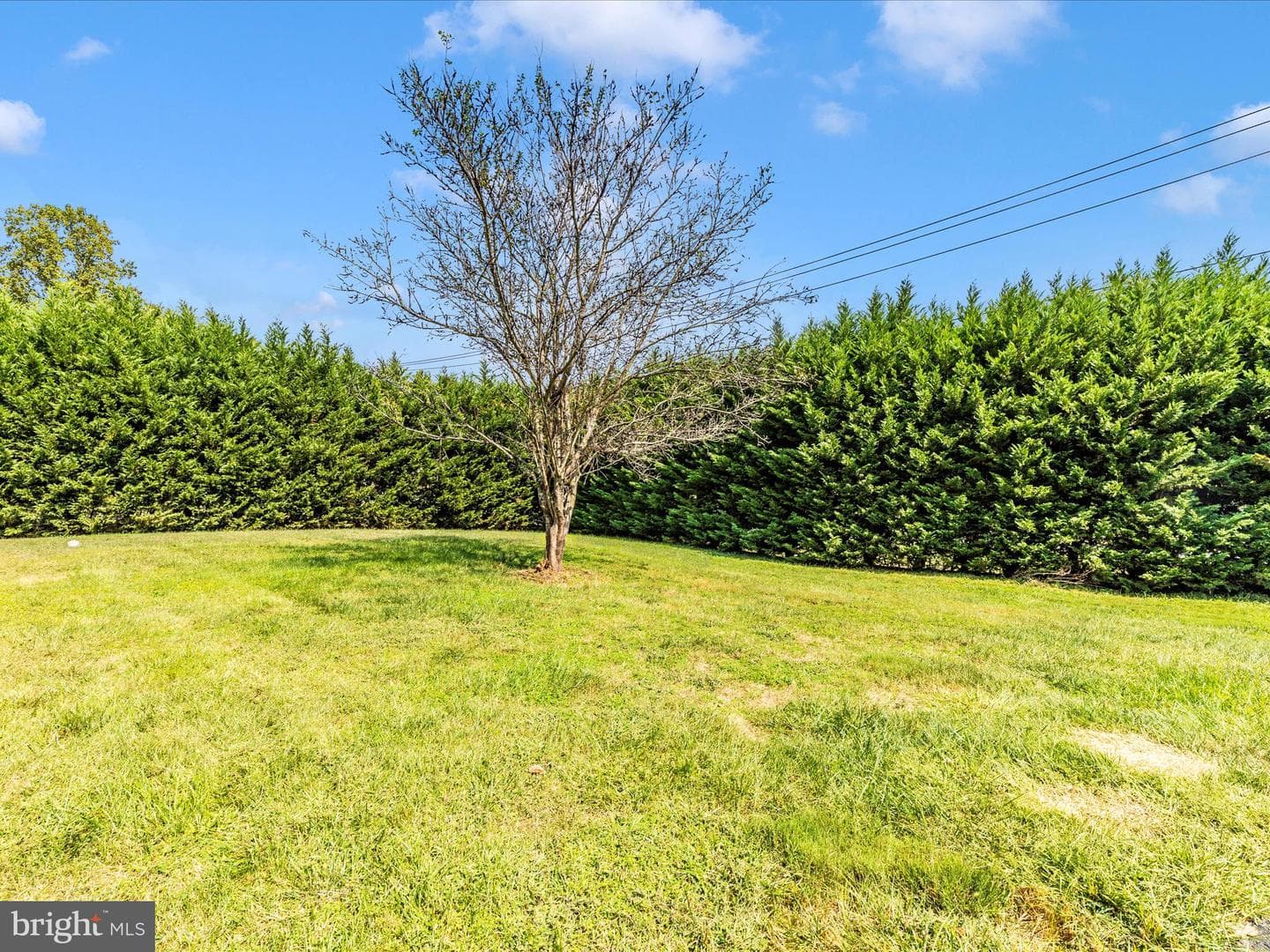 18004 Muncaster Road photo 44