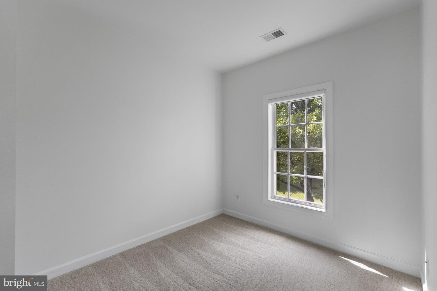 23017 Winged Elm Drive photo 33