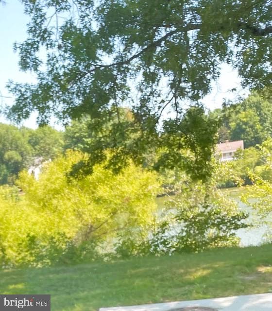 9873 Lake Shore Drive photo 73