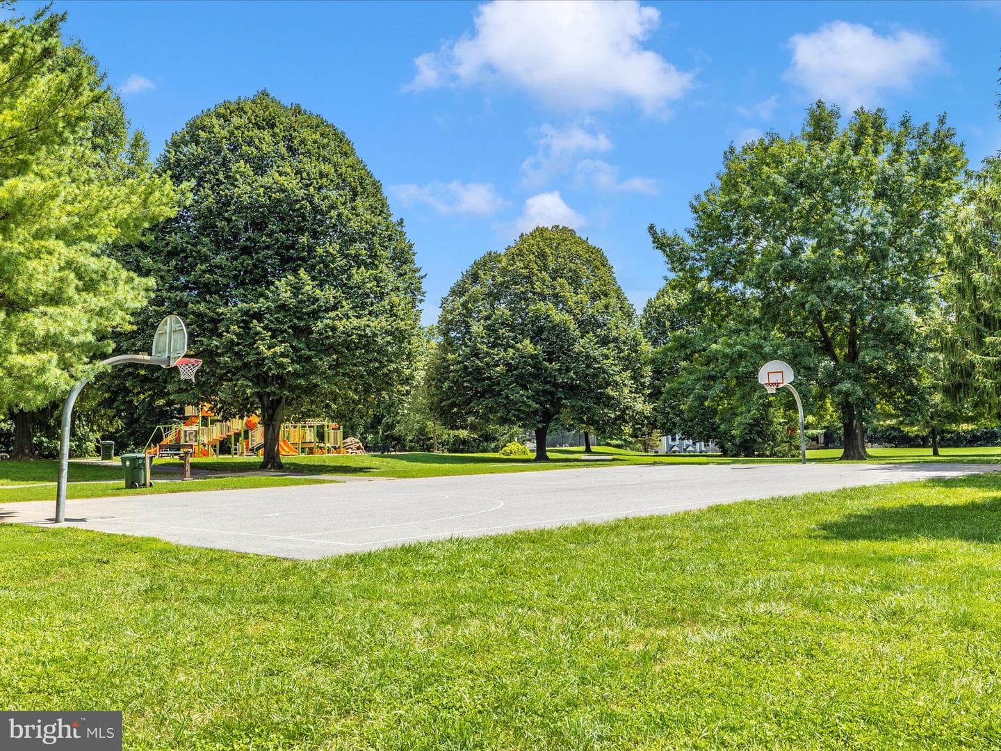13313 Burnt Woods Place photo 43