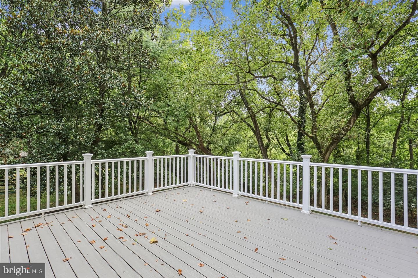 9610 Culver Street photo 26
