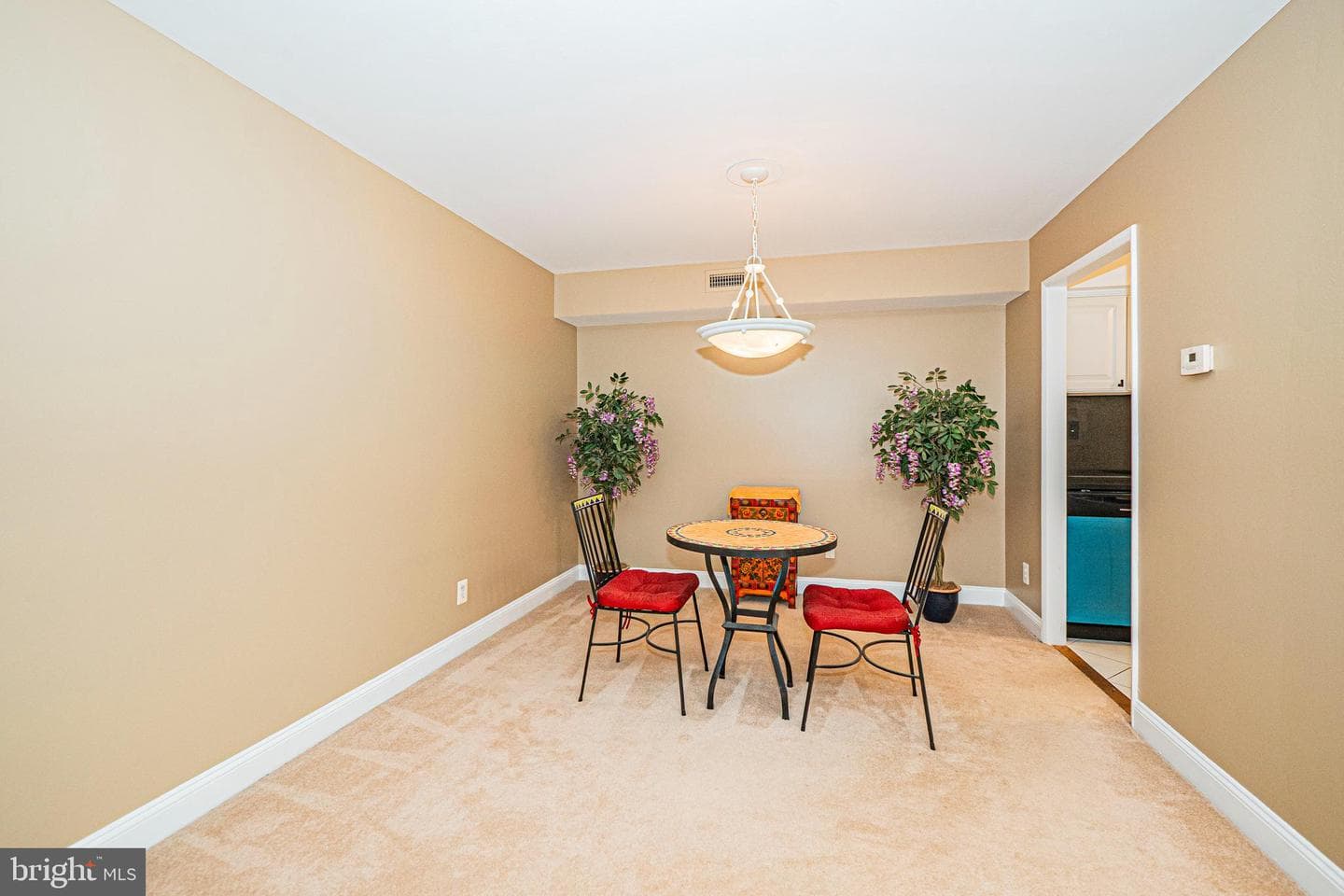 7539 Spring Lake Drive #7539-C photo 6