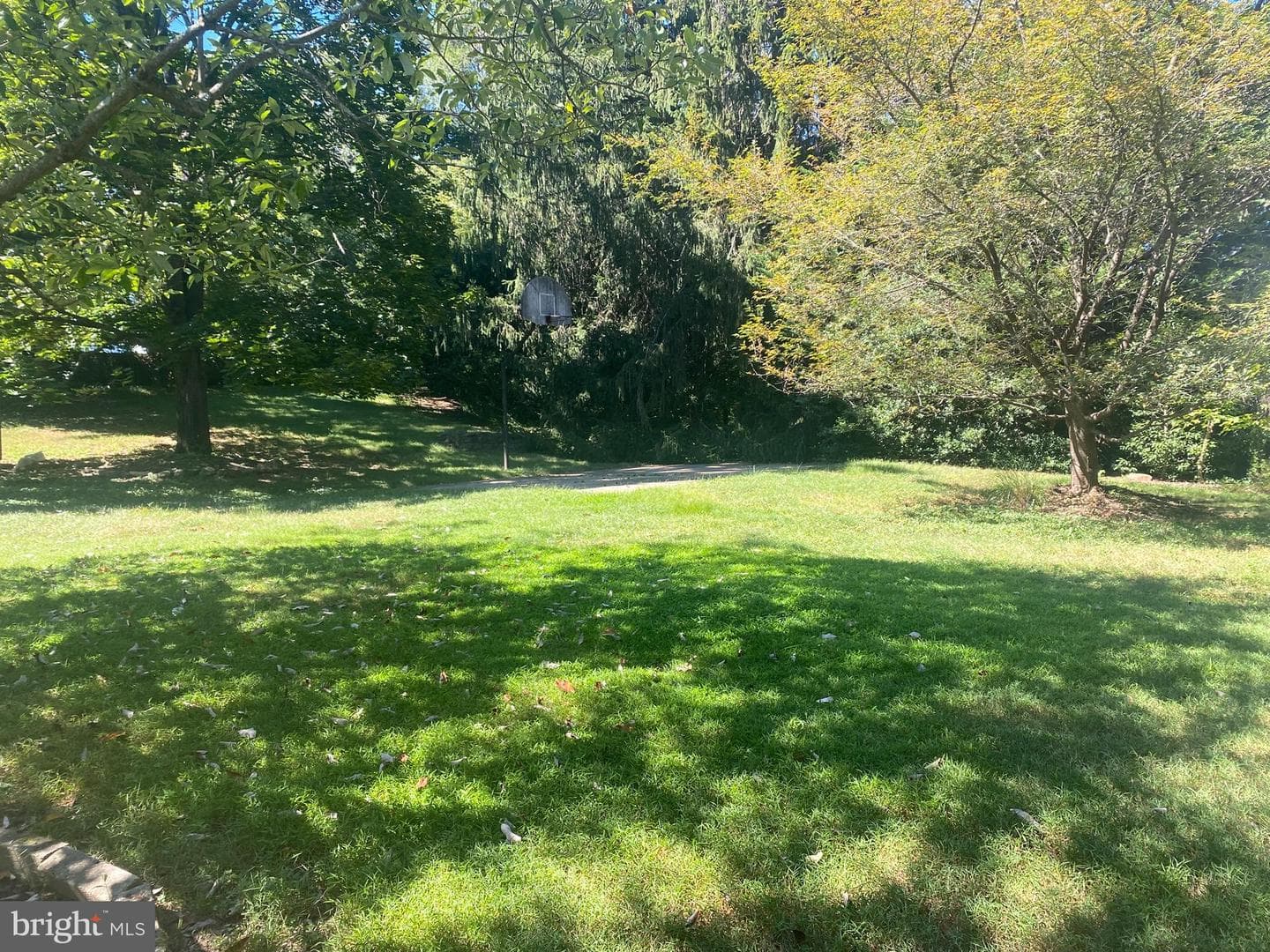 9845 Moyer Road photo 3