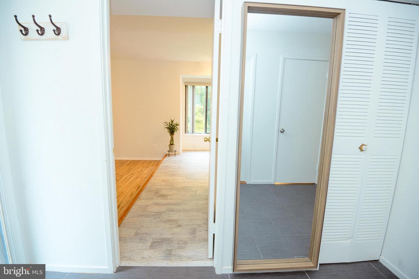 20416 Shadow Oak Court photo 6