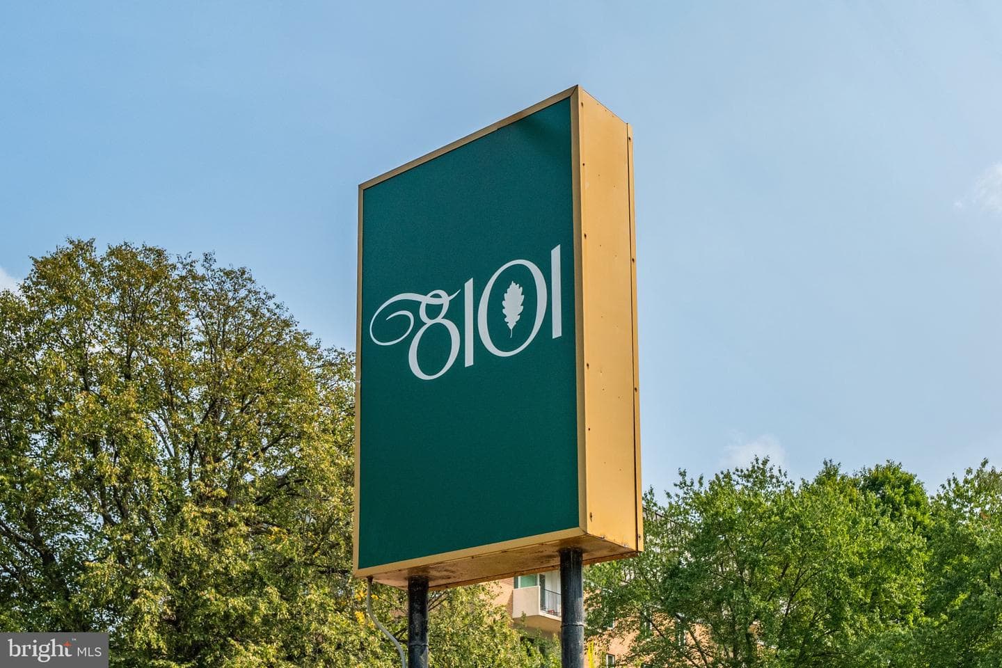 8101 Connecticut Avenue #n109 photo 3