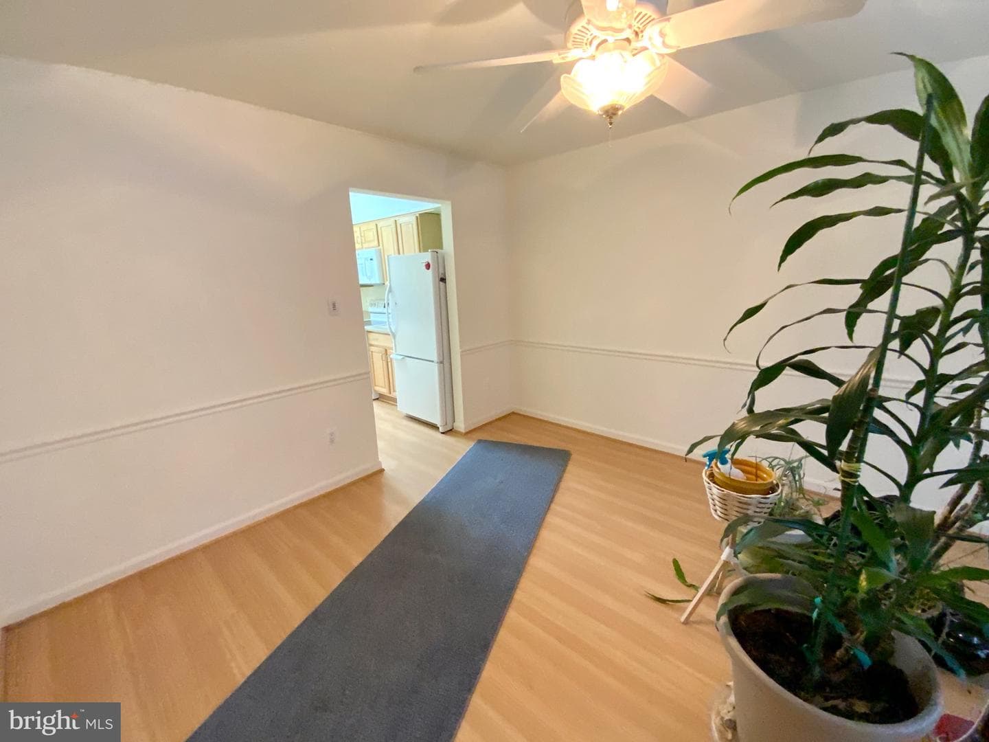 1519 Ingram Terrace photo 11
