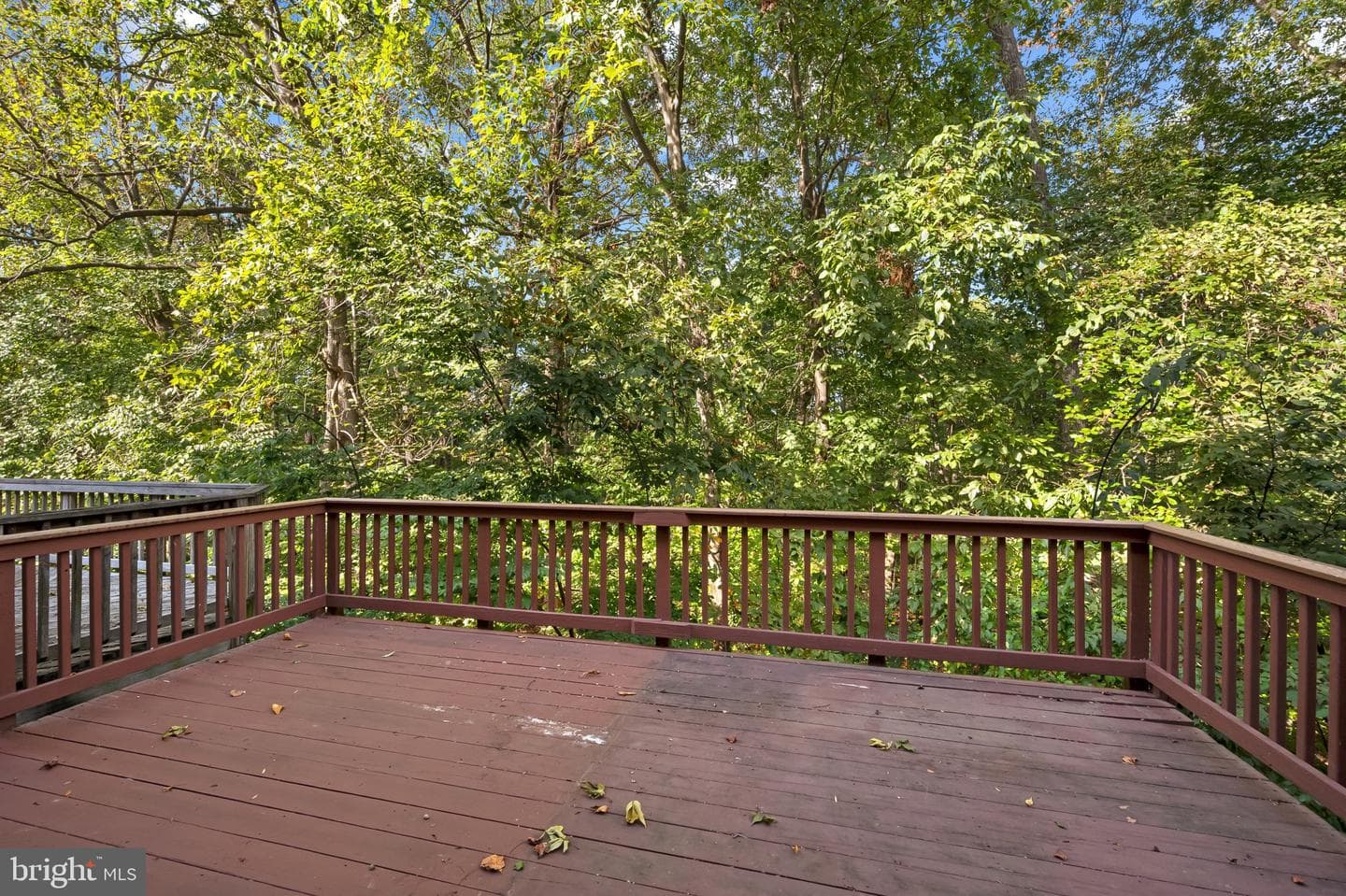 14353 Long Channel Drive photo 24