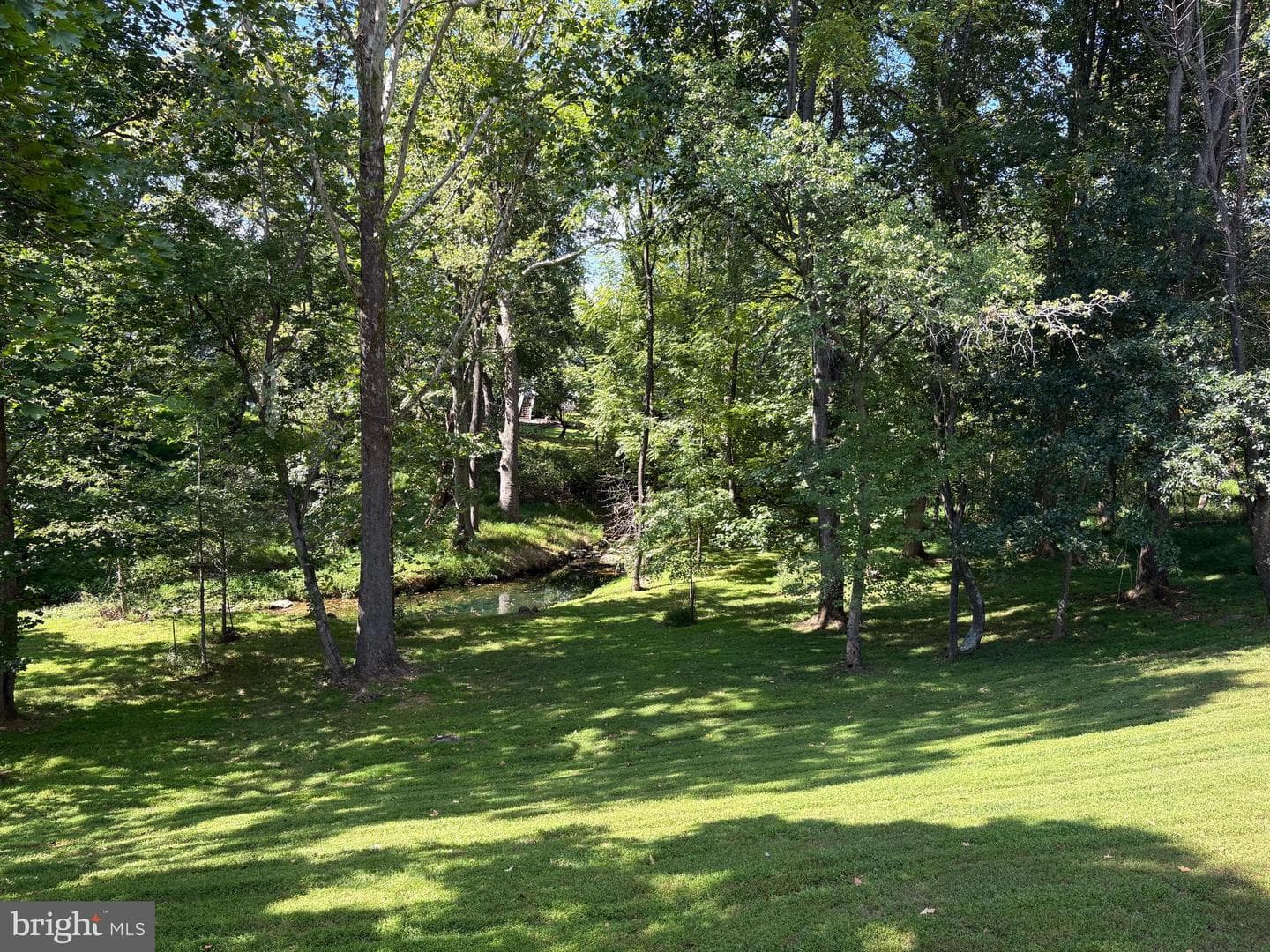 9825 Korman Court photo 46