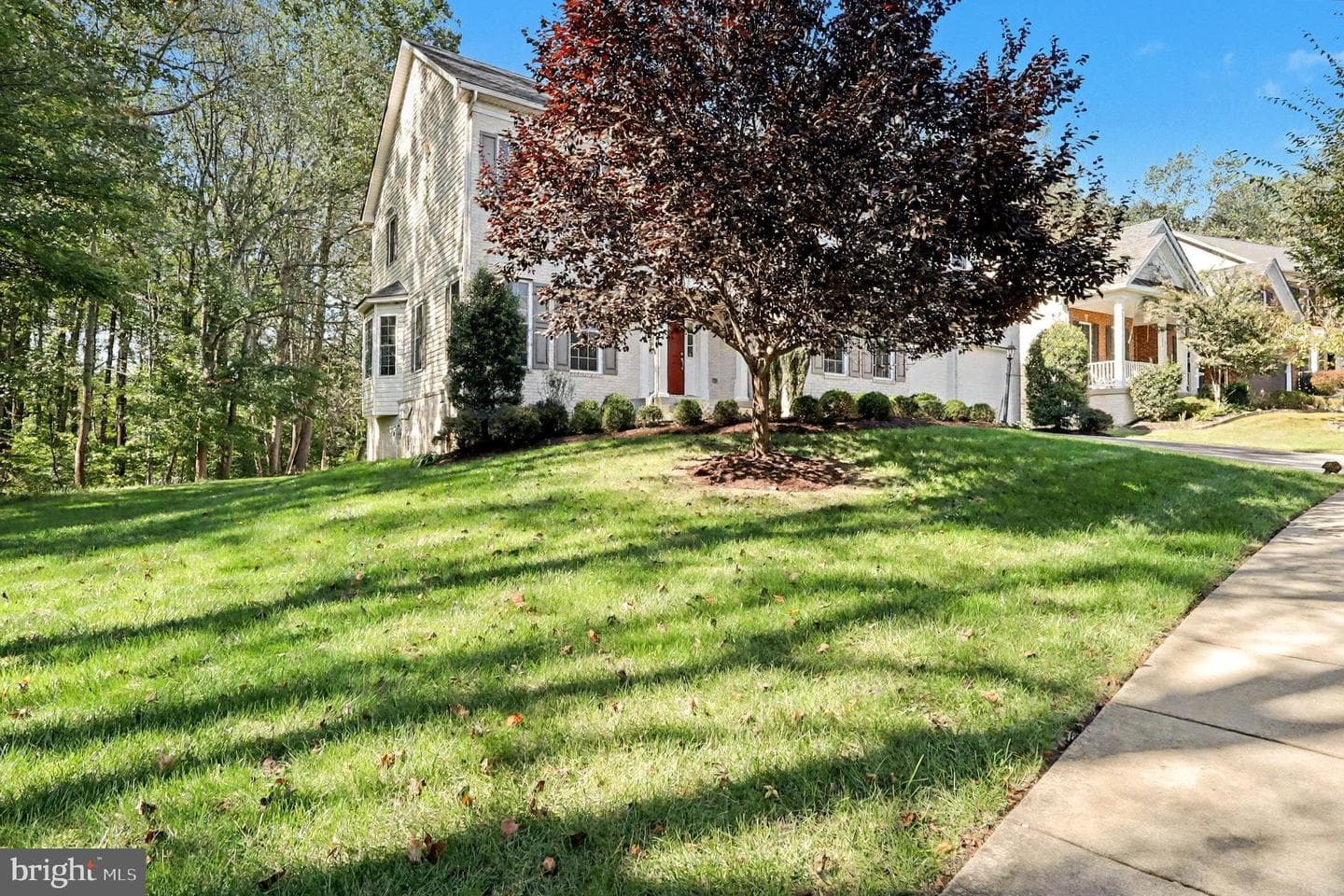 13320 Moonlight Trail Drive photo 59