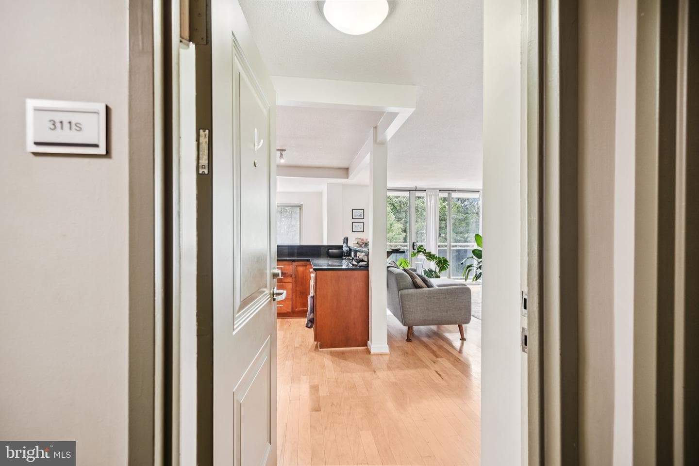 7333 New Hampshire Avenue #311 S photo 1