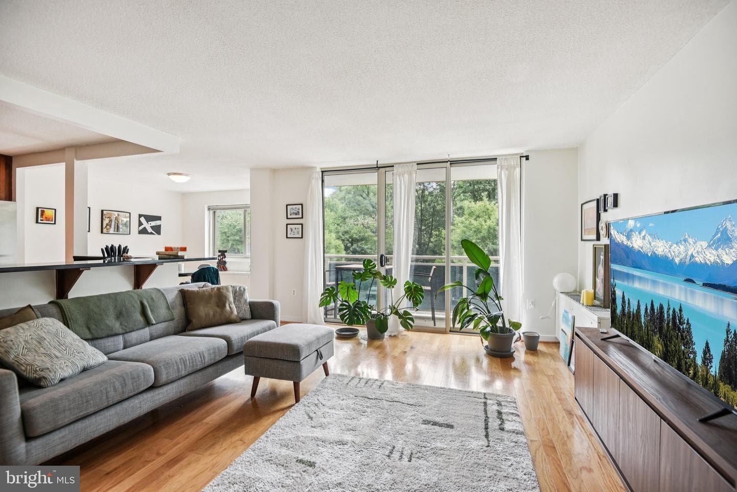 7333 New Hampshire Avenue #311 S photo 8